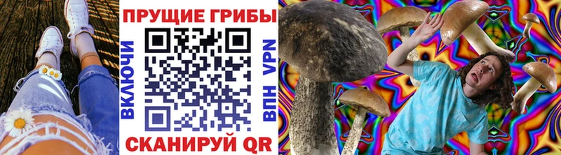 купить закладку  Конаково  Галлюциногенные грибы прущие грибы 