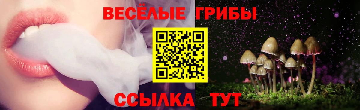 Галлюциногенные грибы мицелий  Вход с VPN  Псилоцибиновые грибы MAGIC MUSHROOMS  Конаково 
